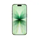 apple_iphone_17_-_512gb_-_sage_mourixa_Qatar-1.webp