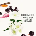Sol de Janeiro Cheirosa 76 Perfume Mist (240 ml) - mourixa Qatar-2.webp
