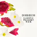 Sol de Janeiro Cheirosa 68 Perfume Mist - mourixa Qatar-2.webp