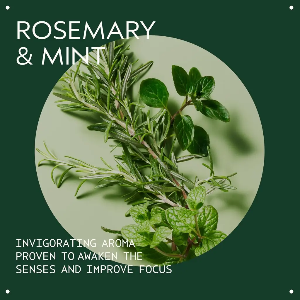 Aveda Rosemary Mint Weightless Conditioner (50 ml) - mourixa Qatar-5.webp
