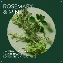 Aveda Rosemary Mint Weightless Conditioner (50 ml) - mourixa Qatar-5.webp
