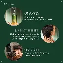 Aveda Miraculous Oil High Shine Hair Concentrate (50 ml) - mourixa Qatar-4.webp