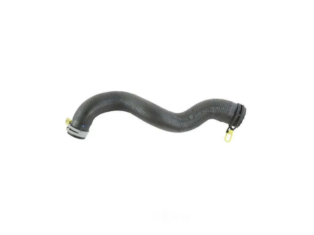 Radiator Hose Lower