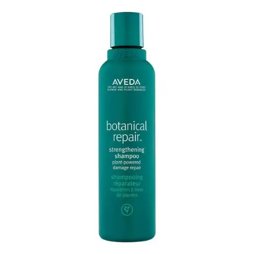 [AX10010000] Aveda Botanical Repair Strengthening Shampoo
